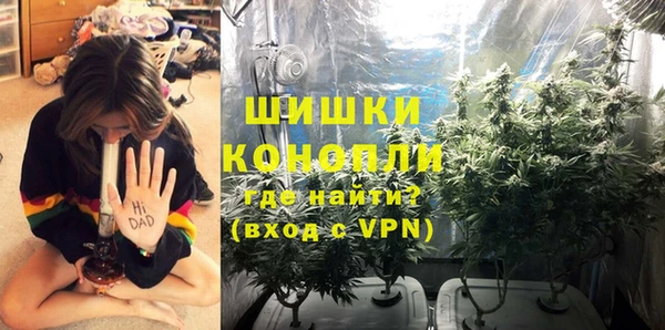 ECSTASY Белокуриха