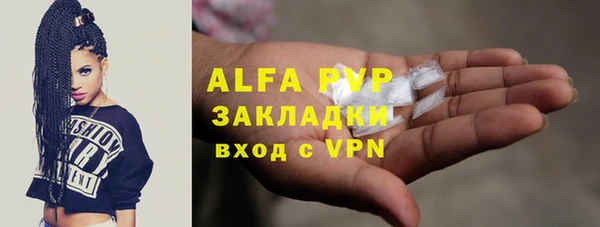 ECSTASY Белокуриха