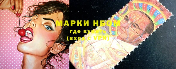 ECSTASY Белокуриха