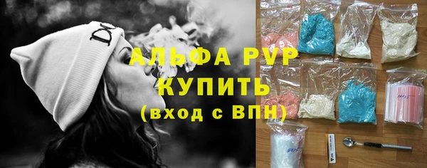 ECSTASY Белокуриха